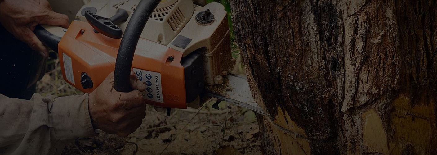 Tree care services