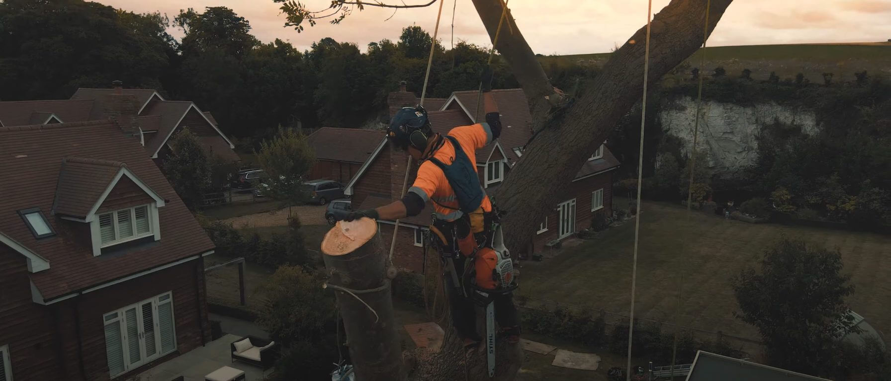 Tree removal services